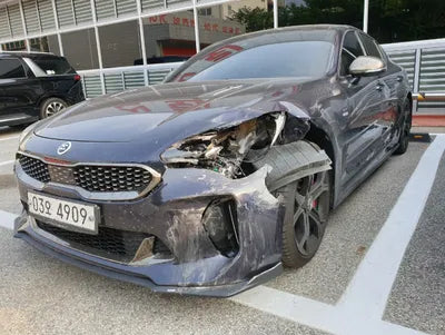 2019 Kia Stinger KNAE351ADKS045666 VIN:KNAE351ADKS045666