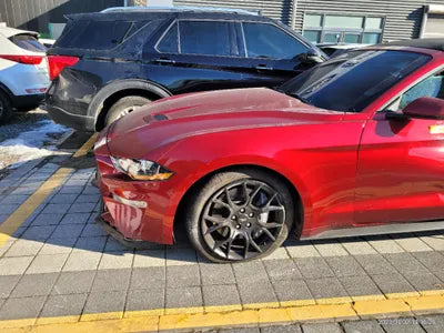 2019 Ford Mustang 1FATP8UH3K5196891 VIN:1FATP8UH3K5196891