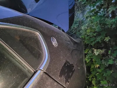 2016 Mercedes-Benz E 350 ZAM56XPG9H1212882 VIN:ZAM56XPG9H1212882