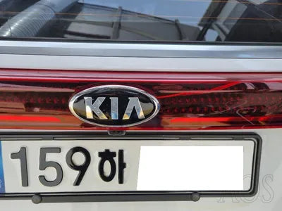 2020 Kia Carnival KNANC81BBMS015175 VIN:KNANC81BBMS015175
