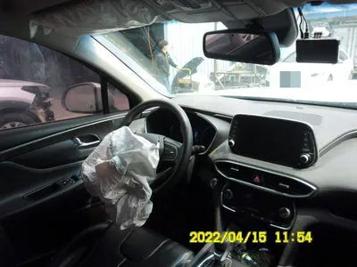 2019 Hyundai Santa FE KMHS281BBKU180305 VIN:KMHS281BBKU180305