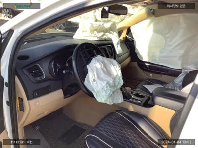 2020 Kia Carnival KNAMB81ABLS655217 VIN:KNAMB81ABLS655217