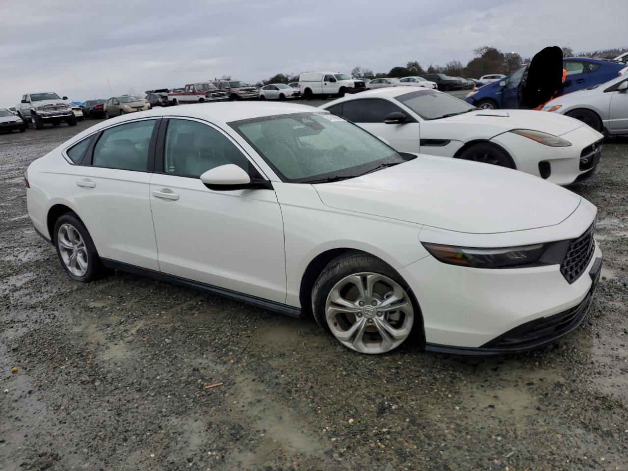 2024 HONDA ACCORD LX VIN:1HGCY1F27RA080295