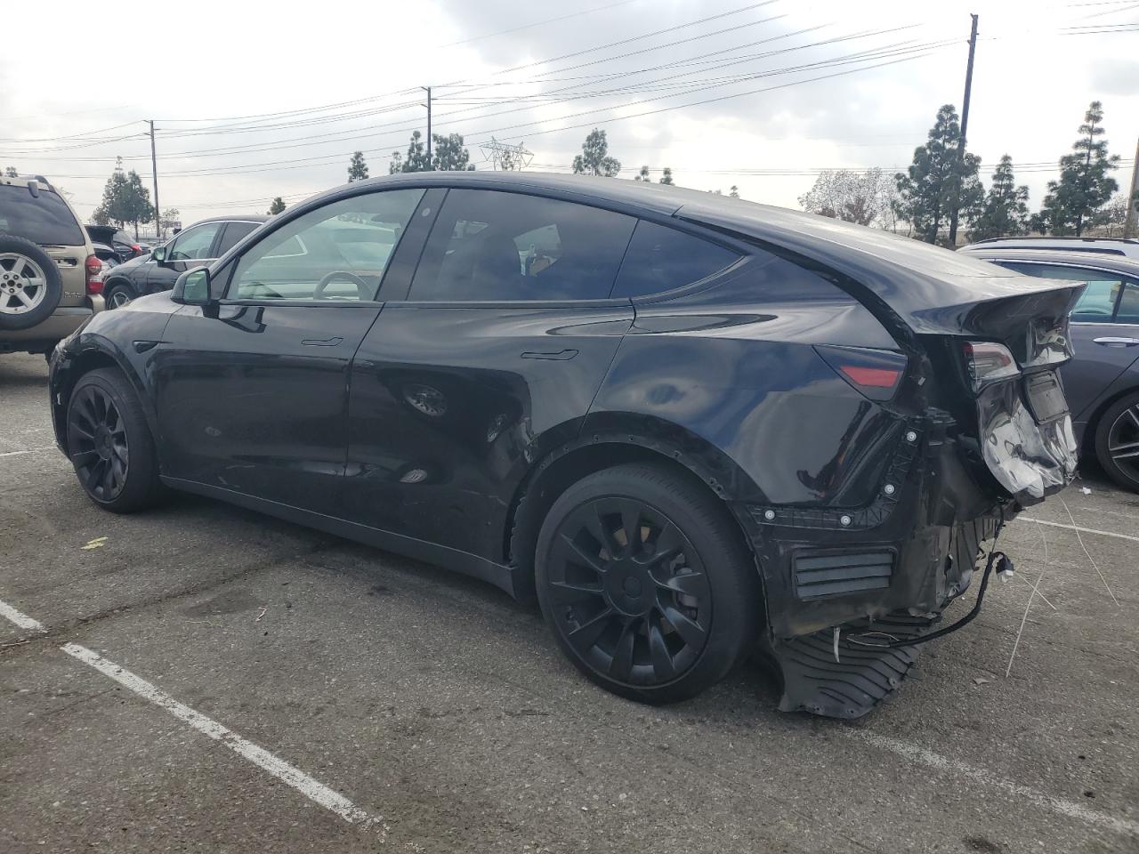2023 TESLA MODEL Y  VIN:7SAYGAEE1PF698125