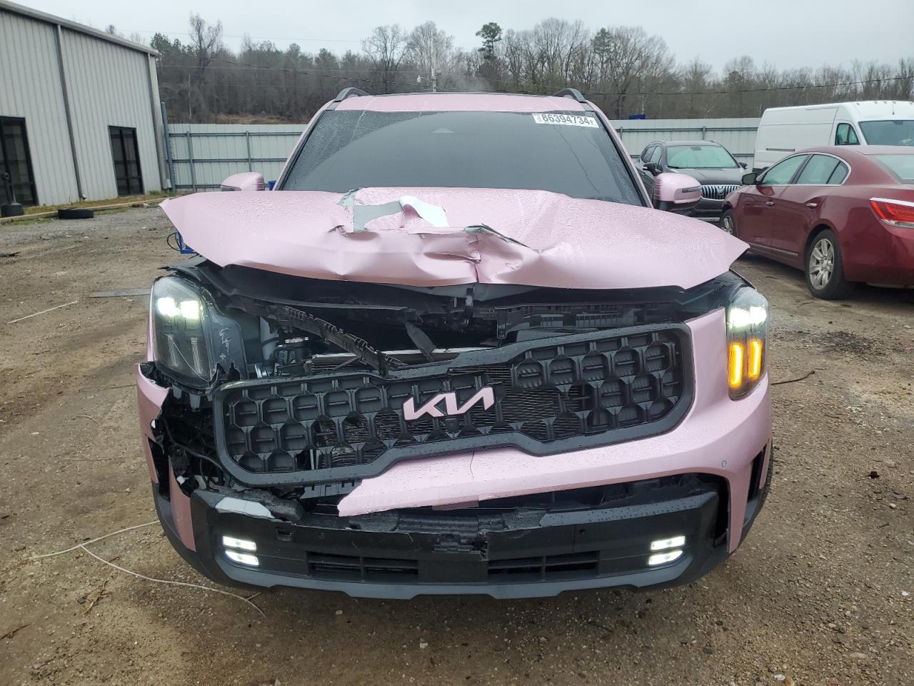 2024 KIA TELLURIDE SX VIN:5XYP5DGC9RG523452