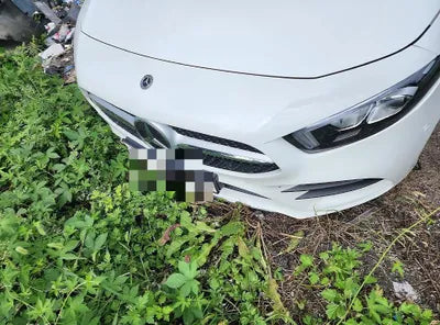 2020 Mercedes-Benz A 220 W1K3G4EB0LJ212847 VIN:W1K3G4EB0LJ212847