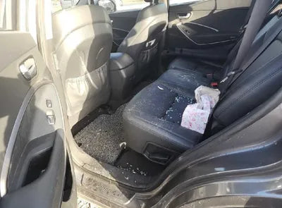 2017 Hyundai Santa FE KMHSW81UBHU737117 VIN:KMHSW81UBHU737117