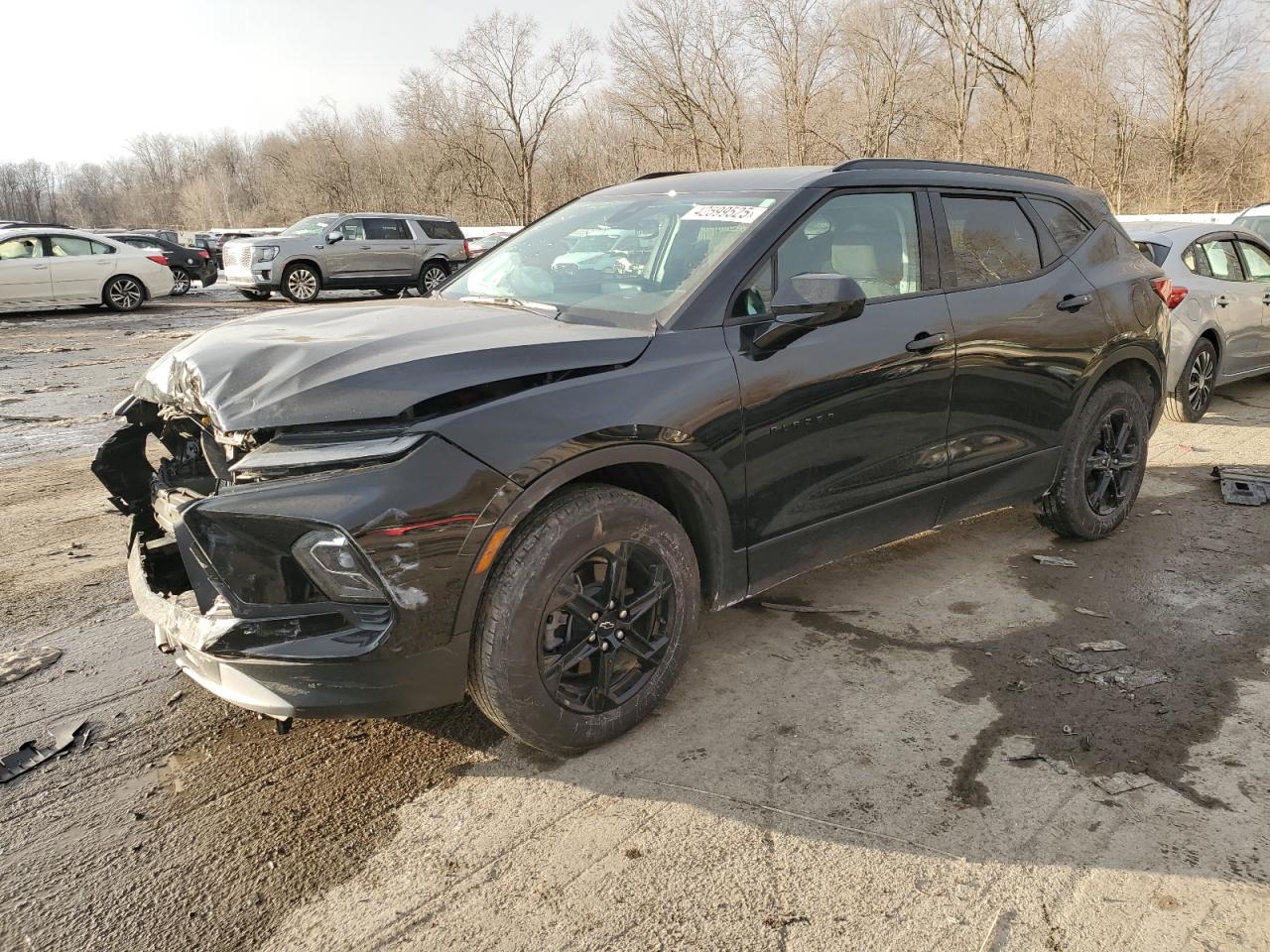 2024 CHEVROLET BLAZER 2LT VIN:3GNKBCR4XRS216350
