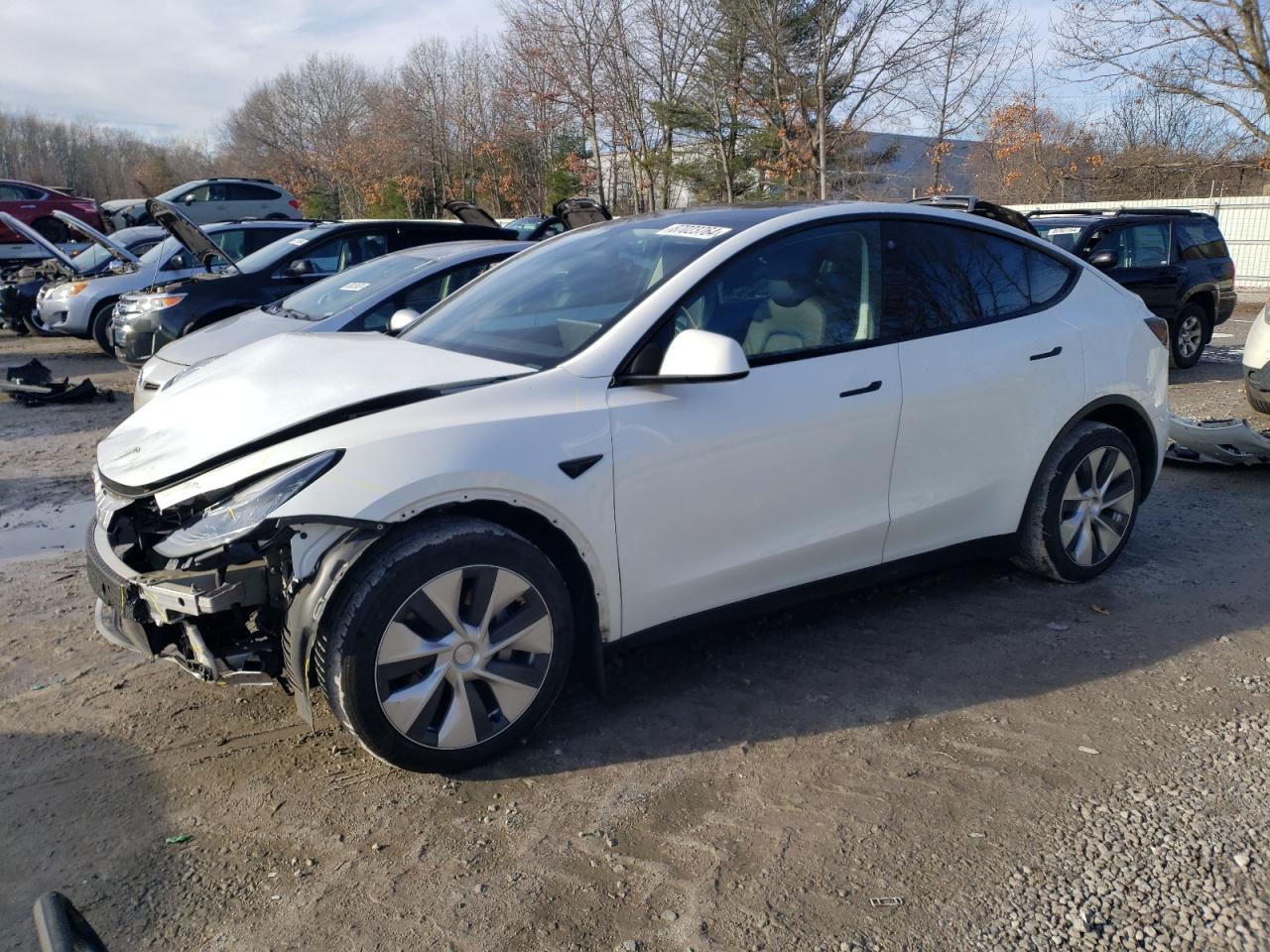 2022 TESLA MODEL Y  VIN:7SAYGDEE8NF435001