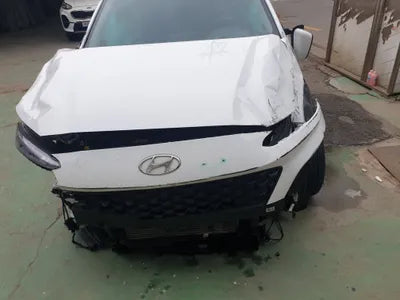 2021 Hyundai Kona KMHK2813GMU790071 VIN:KMHK2813GMU790071