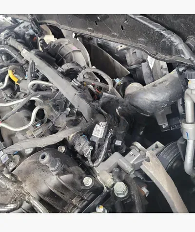 2020 Kia Sorento KNAPH81ABLA644913 VIN:KNAPH81ABLA644913