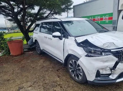 2021 Kia Carnival KNANE81BBMS073819 VIN:KNANE81BBMS073819