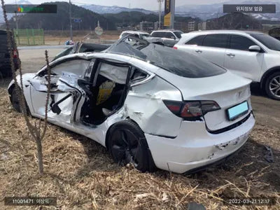 2020 Tesla Model 3 5YJ3E1EB9LF695079 VIN:5YJ3E1EB9LF695079