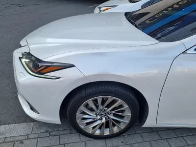 2019 Lexus ES 300 JTHB21B13K2065428 VIN:JTHB21B13K2065428
