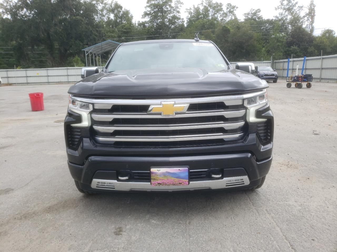 2024 CHEVROLET SILVERADO K1500 HIGH COUNTRY VIN:2GCUDJED0R1198880