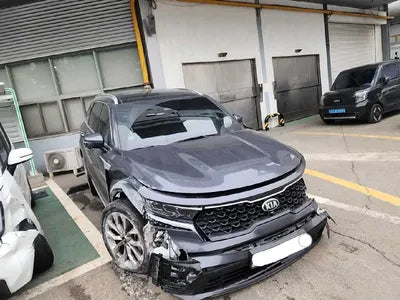 2021 Kia Sorento KNARK81BGMA006864 VIN:KNARK81BGMA006864