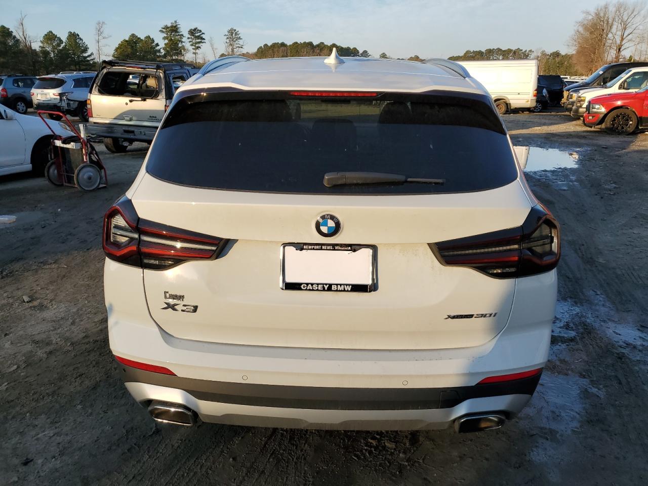 2022 BMW X3 XDRIVE30I VIN:5UX53DP05N9M03354