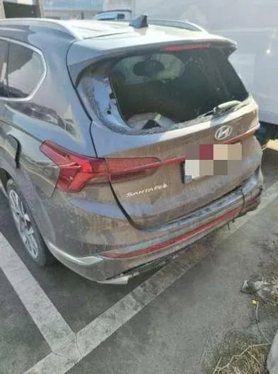 2020 Hyundai Santa FE KMHS581HGMU341212 VIN:KMHS581HGMU341212