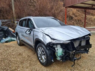 2019 Hyundai Santa FE KMHS281BDKU137495 VIN:KMHS281BDKU137495