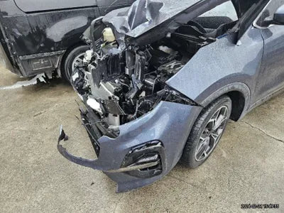 2019 Kia Sportage KNAPP81ABKK643821 VIN:KNAPP81ABKK643821