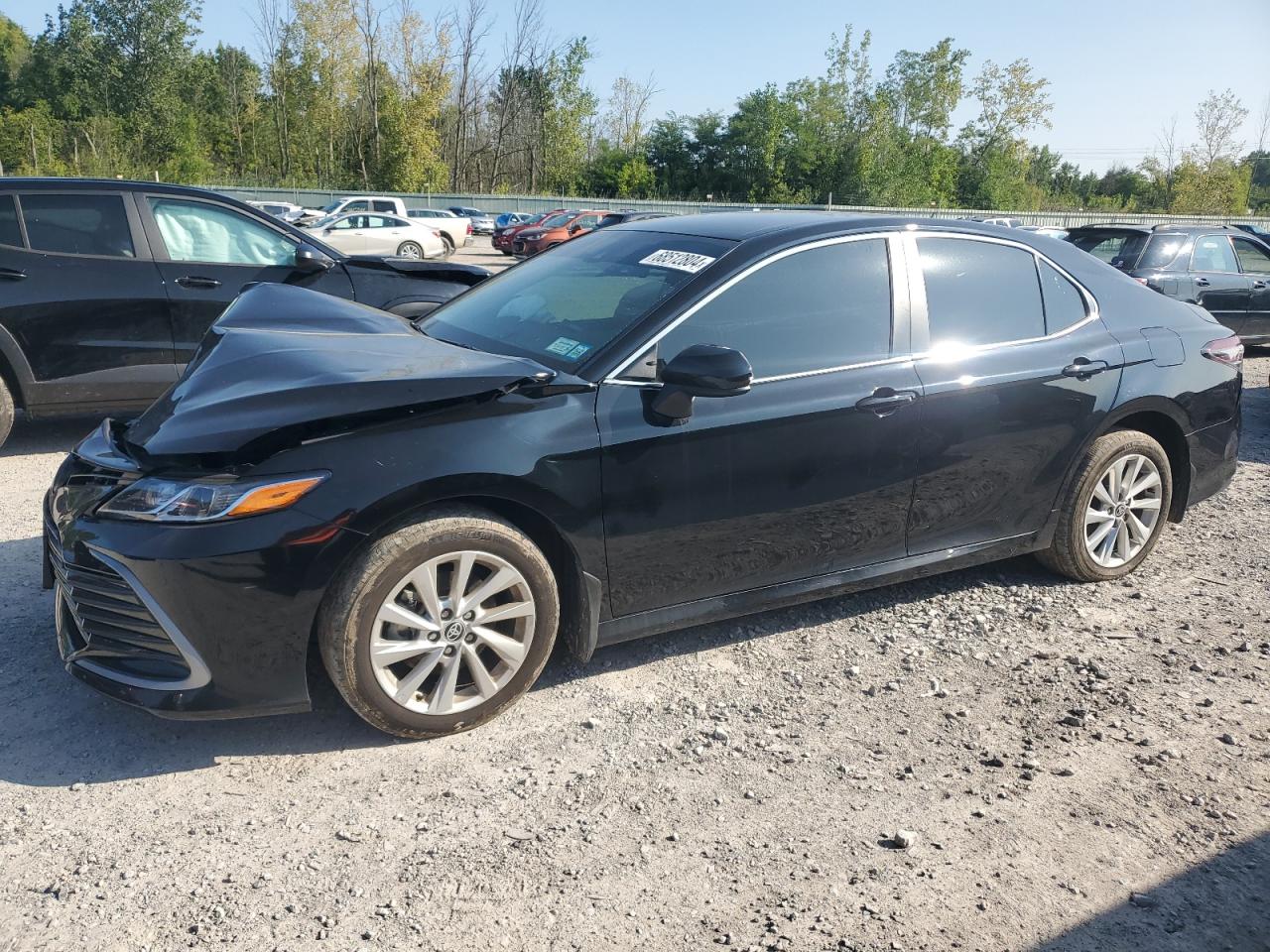 2023 TOYOTA CAMRY LE VIN:4T1C11BK9PU096062