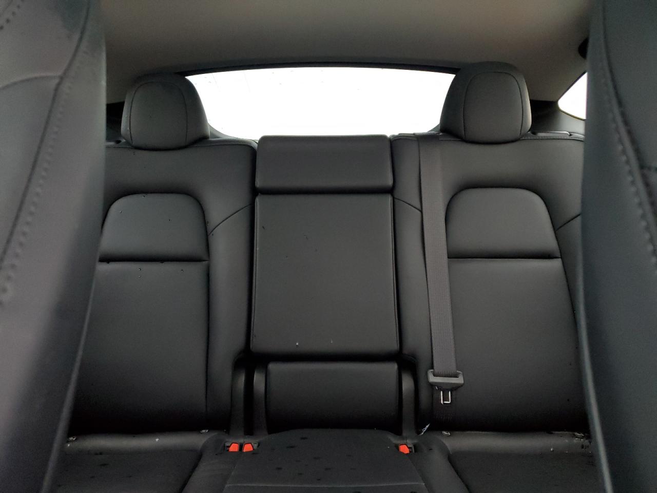 2023 TESLA MODEL Y  VIN:7SAYGDEE7PF879523