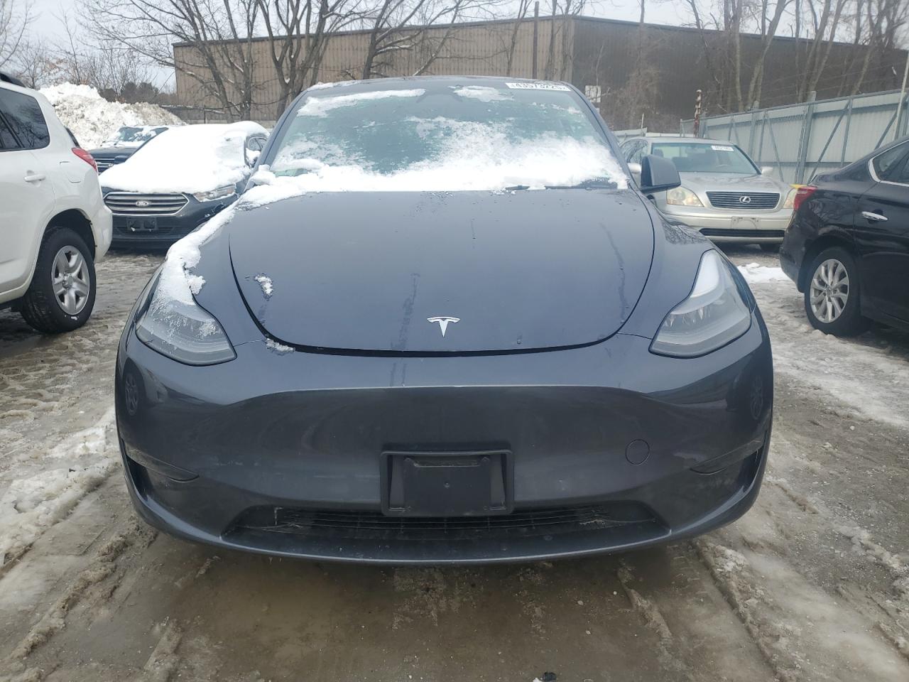 2023 TESLA MODEL Y  VIN:7SAYGAEE9PF970680