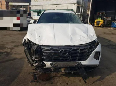2021 Hyundai Tucson KMHJE811BMU009800 VIN:KMHJE811BMU009800