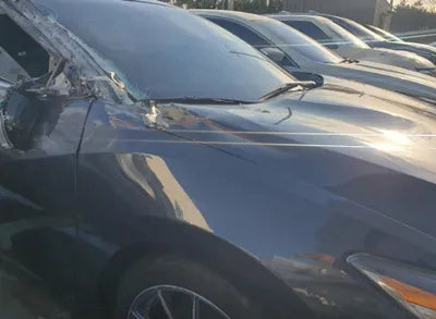 2018 Nissan Maxima 1N4AA6AP7JC399219 VIN:1N4AA6AP7JC399219