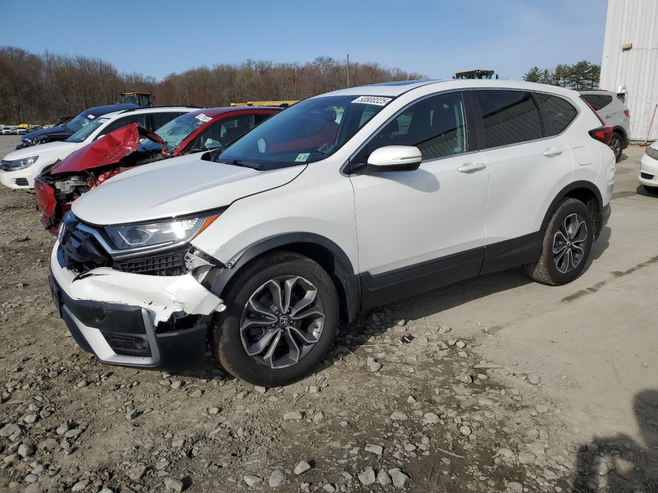 2022 HONDA CR-V EXL VIN:2HKRW2H82NH632777