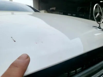 2020 Mercedes-Benz E 300 W1KZF4KB7LA808328 VIN:W1KZF4KB7LA808328