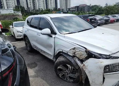 2021 Hyundai Santa FE KMHS281LGMU385620 VIN:KMHS281LGMU385620