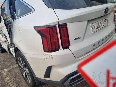 2021 Kia Sorento KNARL81BHMA045694 VIN:KNARL81BHMA045694