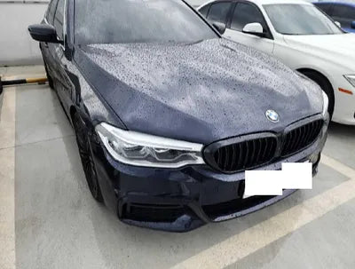 2019 BMW 520 WBAJF510XKWW42477 VIN:WBAJF510XKWW42477