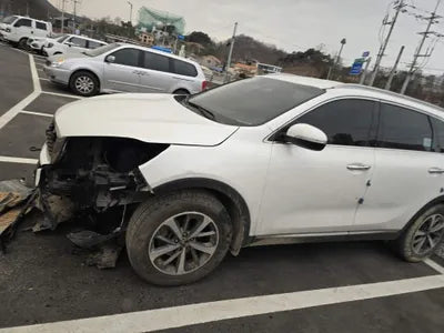 2019 Kia Sorento KNAPG81BDKA540068 VIN:KNAPG81BDKA540068