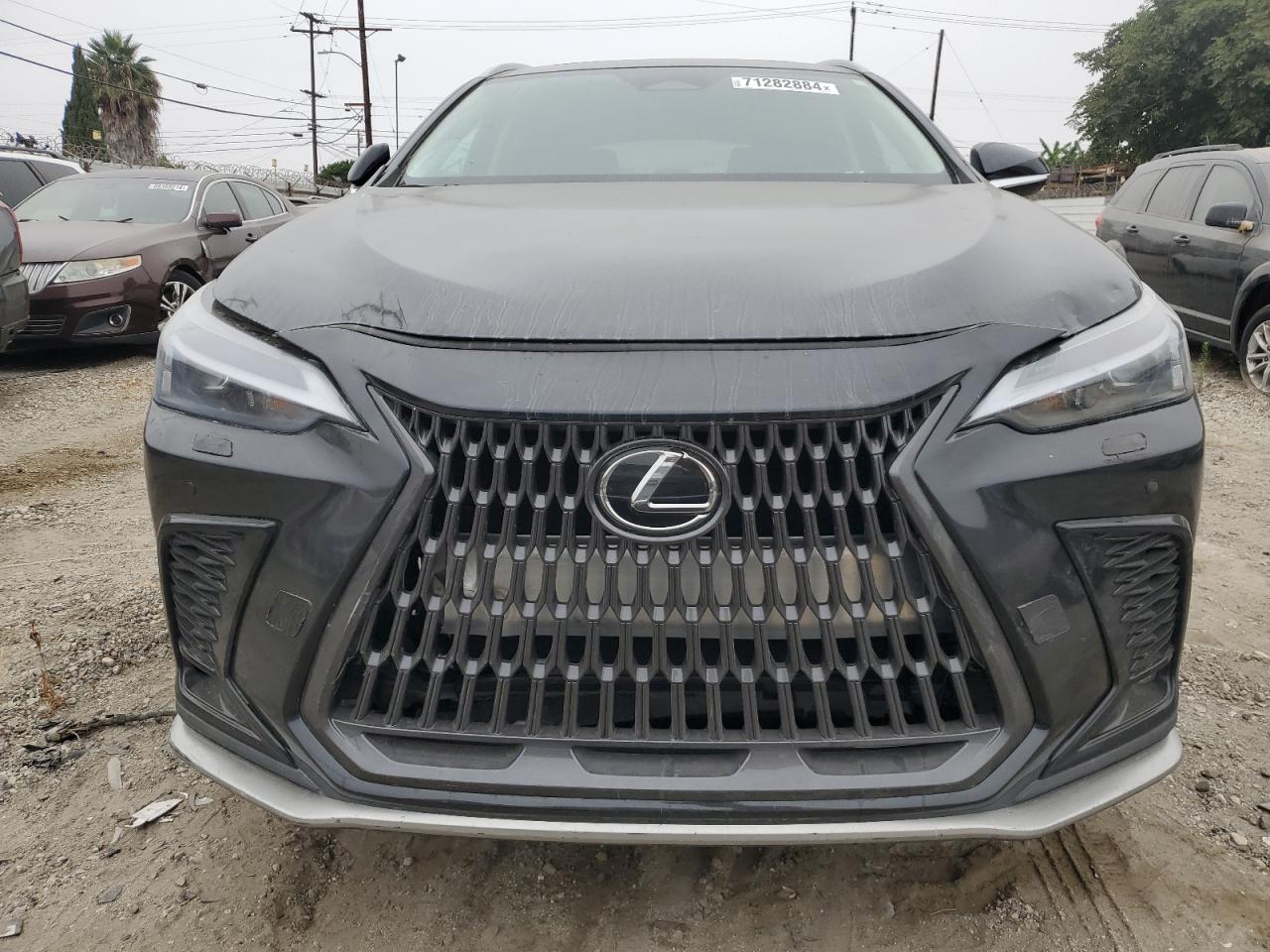 2024 LEXUS NX 250 BASE VIN:2T2ADCAZXRC013196