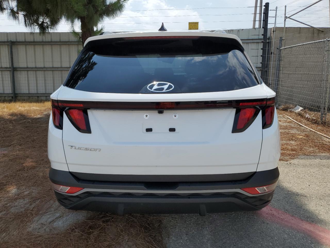 2024 HYUNDAI TUCSON SEL VIN:5NMJB3DE4RH298992