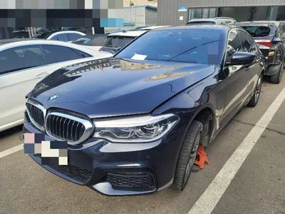 2020 BMW 530 WBAJS9101LCE32262 VIN:WBAJS9101LCE32262