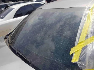2020 Kia K5 KNAG241BBLA021569 VIN:KNAG241BBLA021569