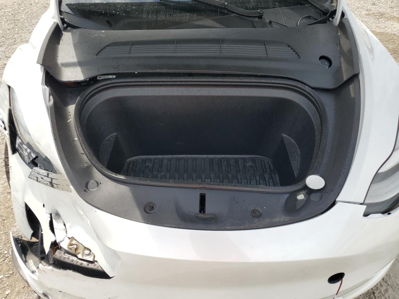 2022 TESLA MODEL Y  VIN:7SAYGDEEXNF460188