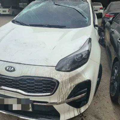 2020 Kia Sportage KNAPR813BLK786151 VIN:KNAPR813BLK786151