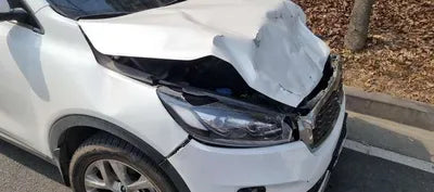 2019 Kia Sorento KNAPK81BDLA554946 VIN:KNAPK81BDLA554946