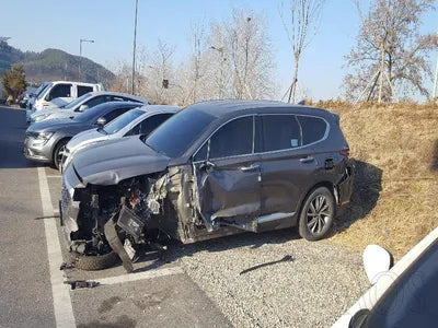 2020 Hyundai Santa FE KMHS281BDLU224822 VIN:KMHS281BDLU224822