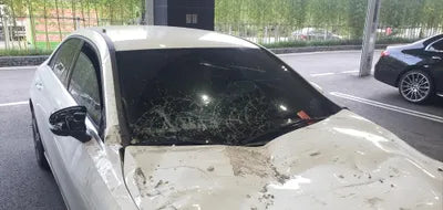 2020 Mercedes-Benz A 250 W1K3G4HB9LJ184929 VIN:W1K3G4HB9LJ184929