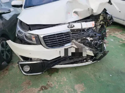 2015 Kia Carnival KNAME81ABFS061664 VIN:KNAME81ABFS061664