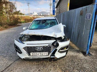 2020 Hyundai Kona KMHK2817GLU485450 VIN:KMHK2817GLU485450