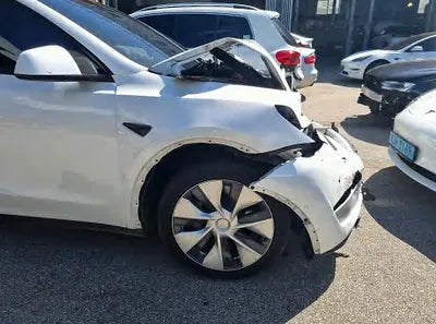 2021 Tesla Model Y 5YJYGDED6MF172381 VIN:5YJYGDED6MF172381
