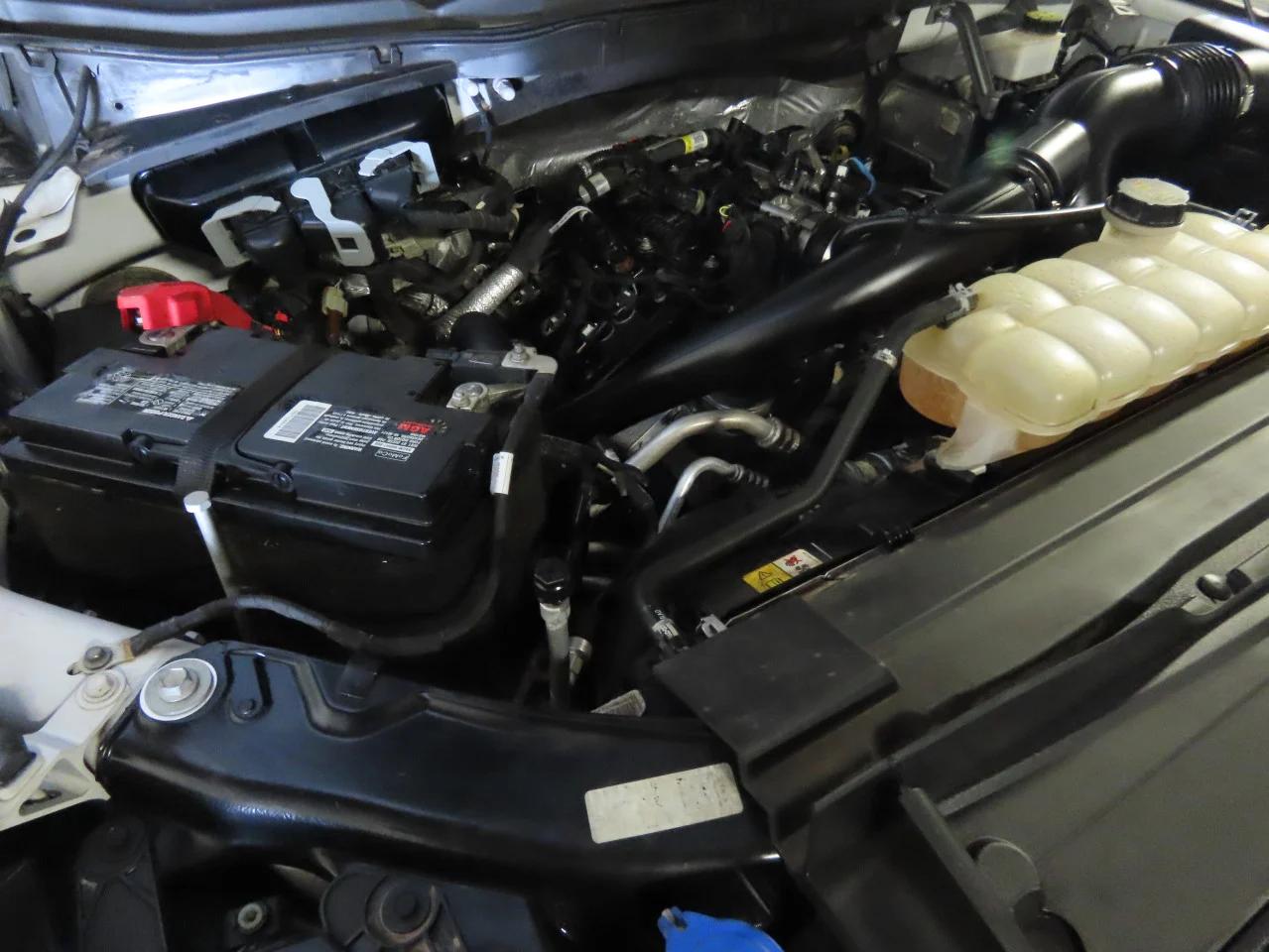2022 FORD F150 SUPERCREW VIN:1FTEW1EP7NKD51600