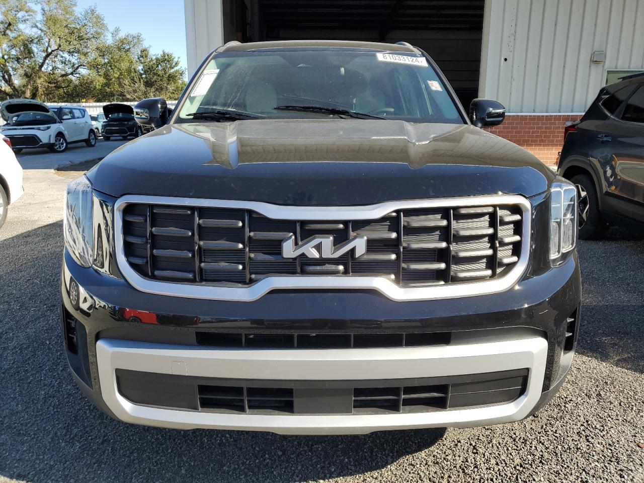 2024 KIA TELLURIDE S VIN:5XYP64GC0RG550620
