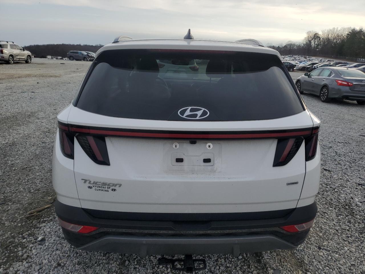 2024 HYUNDAI TUCSON LIMITED VIN:5NMJECDE1RH412096